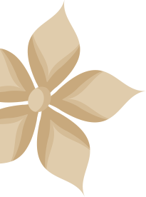 shape